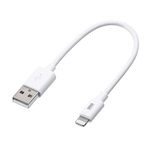 iPhone12 白　SIMフリー　新品のライトニングケーブル付き 318D2EFv+PL.jpg